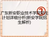 广东新安职业技术学院招生计划详细分析(新安学院招生解析)
