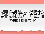 湖南邮电职业技术学院什么专业就业比较好，原因是啥(湘邮好就业专业)