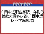 广西中远职业学院一年财政拨款大概多少钱(广西中远职业学院拨款)
