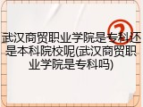 武汉商贸职业学院是专科还是本科院校呢(武汉商贸职业学院是专科吗)