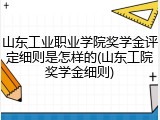 山东工业职业学院奖学金评定细则是怎样的(山东工院奖学金细则)