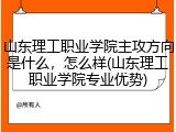 山东理工职业学院主攻方向是什么，怎么样(山东理工职业学院专业优势)