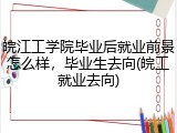 皖江工学院毕业后就业前景怎么样，毕业生去向(皖工就业去向)