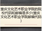 重庆文化艺术职业学院的院校代码和邮编是多少(重庆文化艺术职业学院邮编代码)