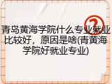 青岛黄海学院什么专业就业比较好，原因是啥(青黄海学院好就业专业)