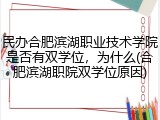 民办合肥滨湖职业技术学院是否有双学位，为什么(合肥滨湖职院双学位原因)