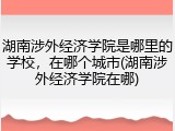 湖南涉外经济学院是哪里的学校，在哪个城市(湖南涉外经济学院在哪)