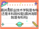 湄洲湾职业技术学院是专科还是本科院校呢(湄洲湾职院是专科吗)