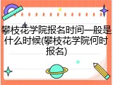 攀枝花学院报名时间一般是什么时候(攀枝花学院何时报名)