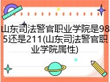 山东司法警官职业学院是985还是211(山东司法警官职业学院属性)