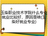 玉柴职业技术学院什么专业就业比较好，原因是啥(玉柴好就业专业)