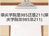 肇庆学院是985还是211(肇庆学院非985非211)