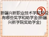 新疆兴新职业技术学院开设有哪些奖学和助学金(新疆兴新学院奖助学金)