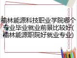 榆林能源科技职业学院哪个专业毕业就业前景比较好(榆林能源职院好就业专业)