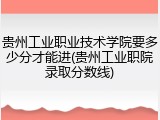 贵州工业职业技术学院要多少分才能进(贵州工业职院录取分数线)
