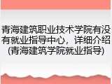 青海建筑职业技术学院有没有就业指导中心，详细介绍(青海建筑学院就业指导)