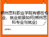 郴州思科职业学院有哪些专业，就业前景如何(郴州思科专业与就业)