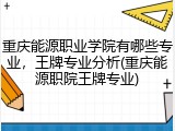 重庆能源职业学院有哪些专业，王牌专业分析(重庆能源职院王牌专业)