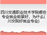 四川交通职业技术学院哪些专业就业前景好，为什么(川交院好就业专业)