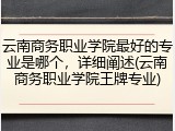 云南商务职业学院最好的专业是哪个，详细阐述(云南商务职业学院王牌专业)
