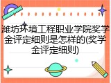 潍坊环境工程职业学院奖学金评定细则是怎样的(奖学金评定细则)