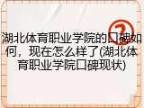 湖北体育职业学院的口碑如何，现在怎么样了(湖北体育职业学院口碑现状)
