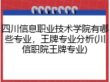 四川信息职业技术学院有哪些专业，王牌专业分析(川信职院王牌专业)