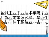 盐城工业职业技术学院毕业后就业前景怎么样，毕业生去向(盐工职院就业去向)