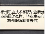 郴州职业技术学院毕业后就业前景怎么样，毕业生去向(郴州职院就业去向)
