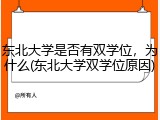 东北大学是否有双学位，为什么(东北大学双学位原因)