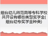烟台幼儿师范高等专科学校共开设有哪些类型奖学金(烟台幼专奖学金种类)