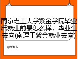 南京理工大学紫金学院毕业后就业前景怎么样，毕业生去向(南理工紫金就业去向)