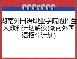 湖南外国语职业学院的招生人数和计划解读(湖南外国语招生计划)