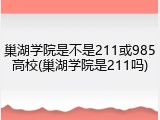 巢湖学院是不是211或985高校(巢湖学院是211吗)