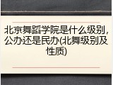 北京舞蹈学院是什么级别，公办还是民办(北舞级别及性质)