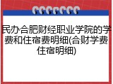 民办合肥财经职业学院的学费和住宿费明细(合财学费住宿明细)