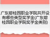 广东碧桂园职业学院共开设有哪些类型奖学金(广东碧桂园职业学院奖学金类别)