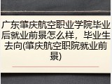 广东肇庆航空职业学院毕业后就业前景怎么样，毕业生去向(肇庆航空职院就业前景)
