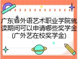 广东省外语艺术职业学院就读期间可以申请哪些奖学金(广外艺在校奖学金)