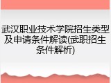 武汉职业技术学院招生类型及申请条件解读(武职招生条件解析)