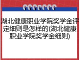 湖北健康职业学院奖学金评定细则是怎样的(湖北健康职业学院奖学金细则)