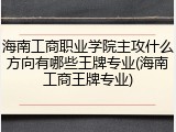 海南工商职业学院主攻什么方向有哪些王牌专业(海南工商王牌专业)