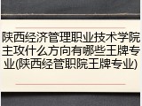 陕西经济管理职业技术学院主攻什么方向有哪些王牌专业(陕西经管职院王牌专业)
