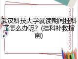 武汉科技大学就读期间挂科了怎么办呢？(挂科补救指南)