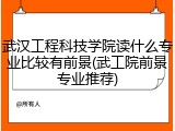 武汉工程科技学院读什么专业比较有前景(武工院前景专业推荐)