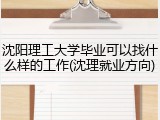 沈阳理工大学毕业可以找什么样的工作(沈理就业方向)