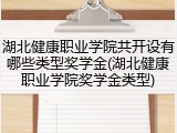 湖北健康职业学院共开设有哪些类型奖学金(湖北健康职业学院奖学金类型)