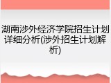 湖南涉外经济学院招生计划详细分析(涉外招生计划解析)