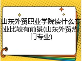 山东外贸职业学院读什么专业比较有前景(山东外贸热门专业)