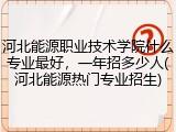 河北能源职业技术学院什么专业最好，一年招多少人(河北能源热门专业招生)